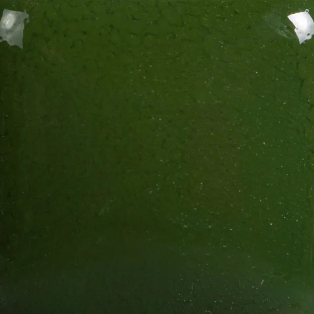 Szkliwo Mayco Foundations FN010 Tree Green - wypał 1222°C (Cone 6)