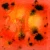 Szkliwo Mayco Jungle Gems CG1002 Day Lily - wypał 999°C (Cone 06)