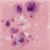 Szkliwo Mayco Jungle Gems CG1014 Pink Plum - wypał 999°C (Cone 06)