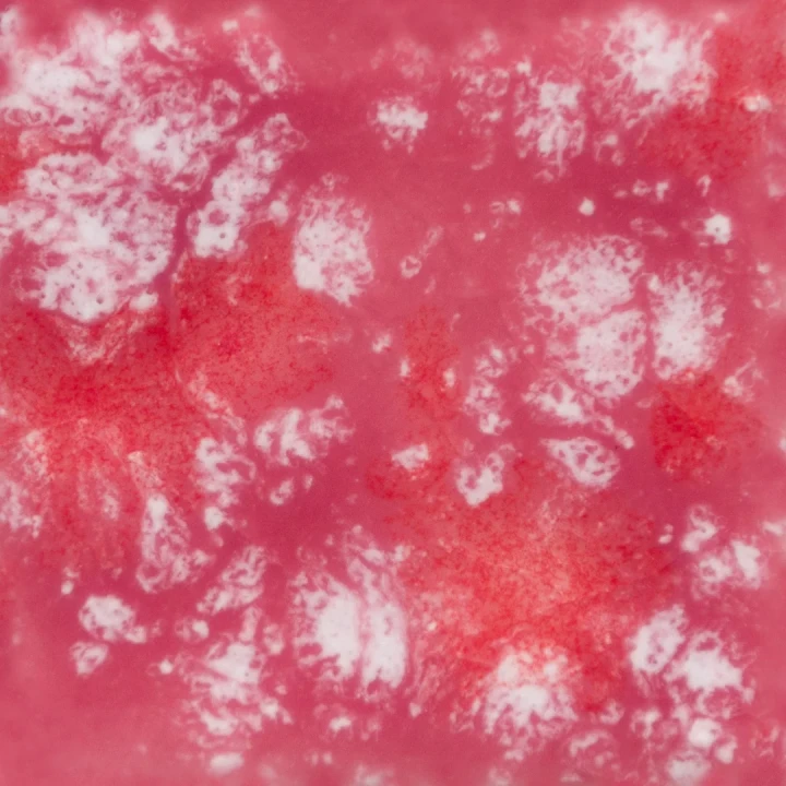 Szkliwo Mayco Jungle Gems CG968 Peppermint Twist - wypał 999°C (Cone 06)