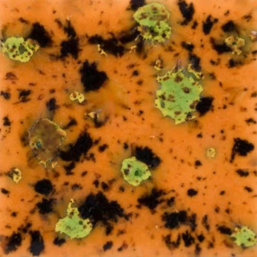 Szkliwo Mayco Jungle Gems S2708 Oriental Carmel - wypał 999°C (Cone 06)