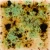 Szkliwo Mayco Jungle Gems S2709 Cappuccino Mint - wypał 999°C (Cone 06)