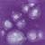 Szkliwo Mayco Jungle Gems S2723 Grape Divine - wypał 999°C (Cone 06)