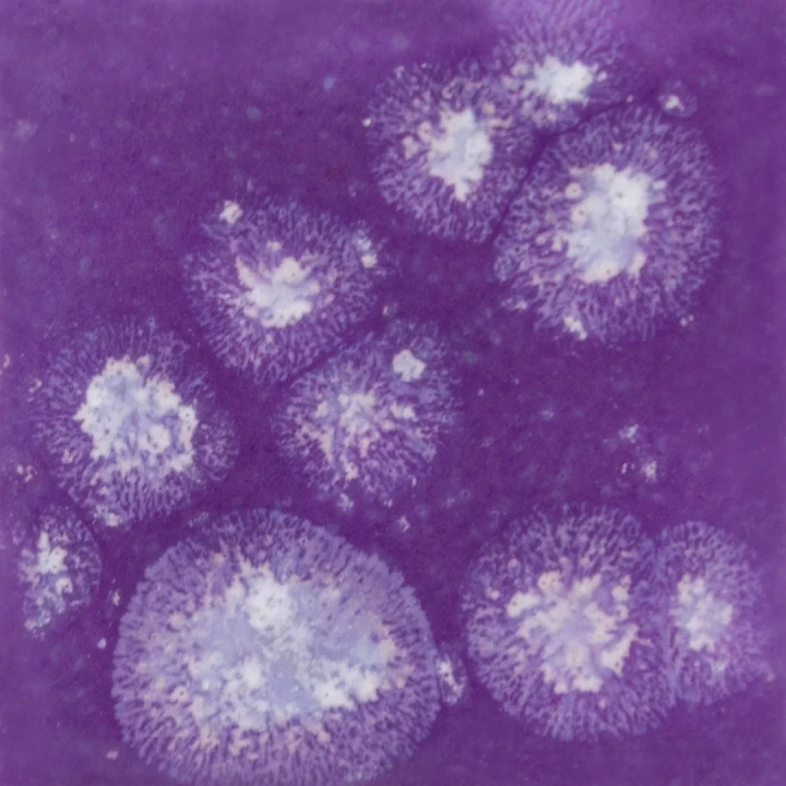 Szkliwo Mayco Jungle Gems S2723 Grape Divine - wypał 999°C (Cone 06)