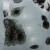 Szkliwo Mayco Jungle Gems CG1016 Asteroid - wypał 1305°C (Cone 10)