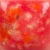Szkliwo Mayco Jungle Gems CG756 Firecracker - wypał 1305°C (Cone 10)
