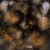 Szkliwo Mayco Jungle Gems CG798 Black Iris - wypał 1305°C (Cone 10)