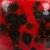 Szkliwo Mayco Jungle Gems CG984 Ladybug - wypał 1305°C (Cone 10)