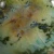 Szkliwo Mayco Jungle Gems CG991 Mountain Moss - wypał 1222°C (Cone 6)