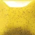 Szkliwo Mayco Speckled Stroke & Coat SP206 Sunkissed - wypał 999°C (Cone 06)