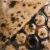 Szkliwo Mayco Elements EL-212 Spotted Walnut - wypał 999°C (Cone 06)