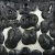 Szkliwo Mayco Stoneware SW465 Black Moon Rocks - wypał 1305°C (Cone 10)