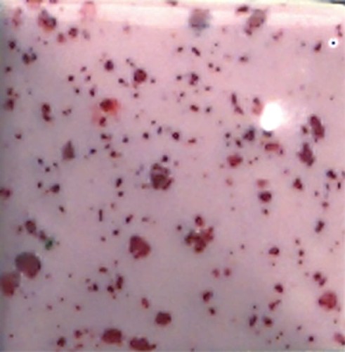 a1a21604517e878394f88615bd568929