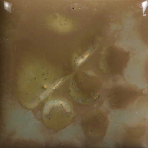 4c5e6213d21d1db52a3525e92ef01ab0