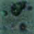 c9fdd24e8e54ab9a149cb2b308376ba6