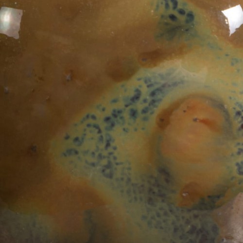 e8fc930e9cb11374a5f631843f61d1fd